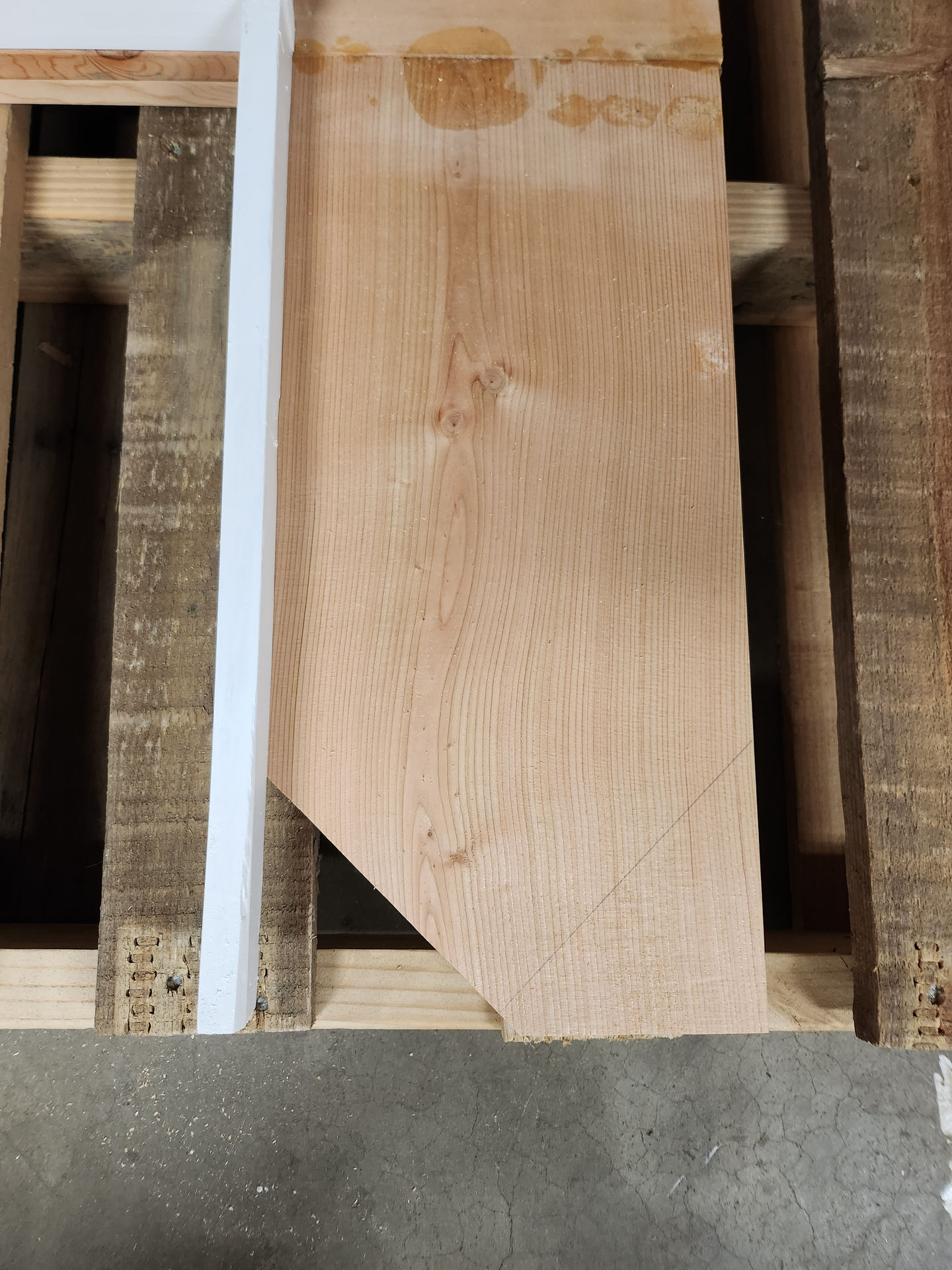 shelf edge
